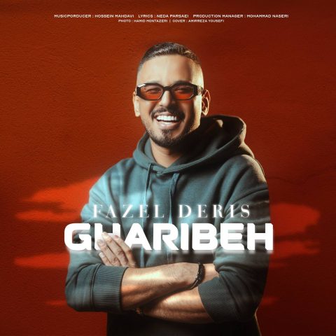 دانلود آهنگ فاضل دریس غریبه